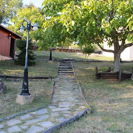 Dimitra'S Villas Елатохори Екстериор снимка