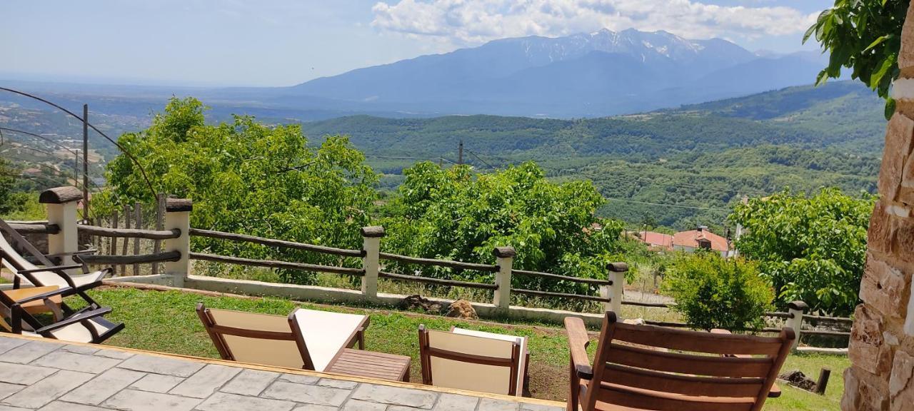 Dimitra'S Villas Елатохори Екстериор снимка