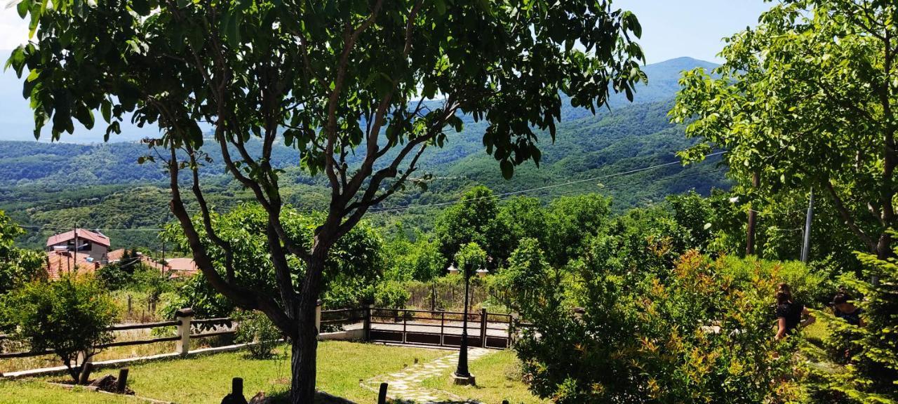 Dimitra'S Villas Елатохори Екстериор снимка