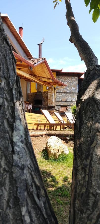 Dimitra'S Villas Елатохори Екстериор снимка