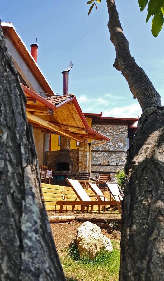 Dimitra'S Villas Елатохори Екстериор снимка