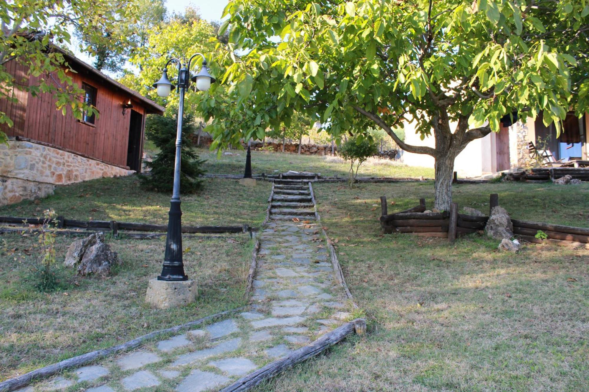 Dimitra'S Villas Елатохори Екстериор снимка