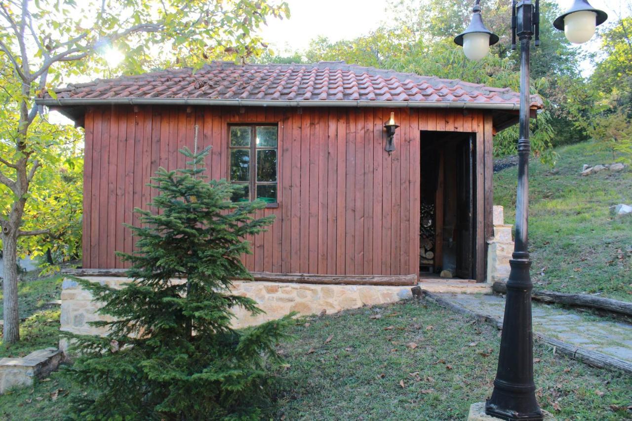 Dimitra'S Villas Елатохори Екстериор снимка